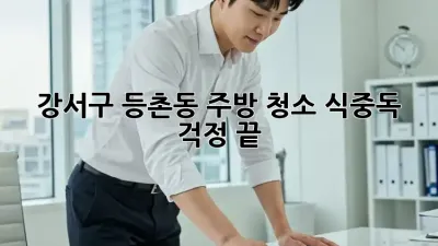 강서구 등촌동 주방 청소, 식중독 걱정 끝!