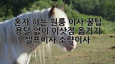 혼자 하는 원룸 이사 꿀팁🍯 용달 없이 이삿짐 옮기기! #셀프이사 #소량이사