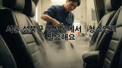 서울 성북구 동선동에서  срочно 청소업체 필요해요?