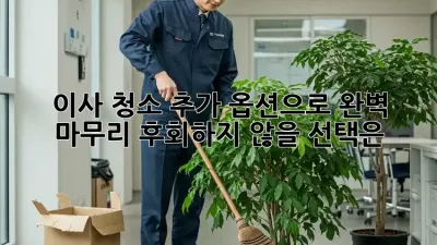 이사 청소, 추가 옵션으로 완벽 마무리! 후회하지 않을 선택은? ✨