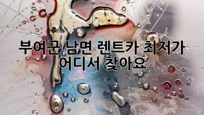 부여군 남면 렌트카 최저가, 어디서 찾아요?